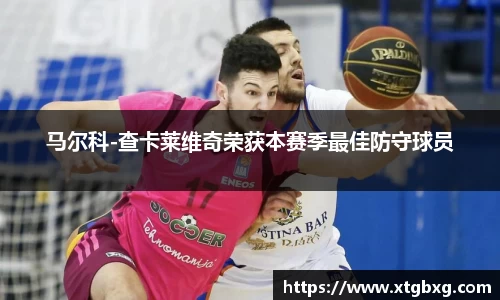 马尔科-查卡莱维奇荣获本赛季最佳防守球员
