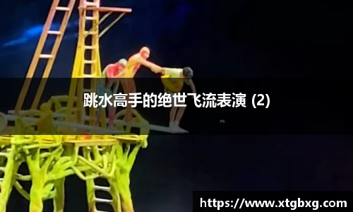 跳水高手的绝世飞流表演 (2)