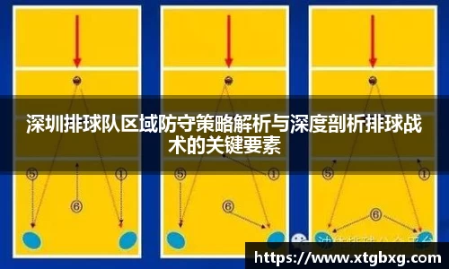 深圳排球队区域防守策略解析与深度剖析排球战术的关键要素